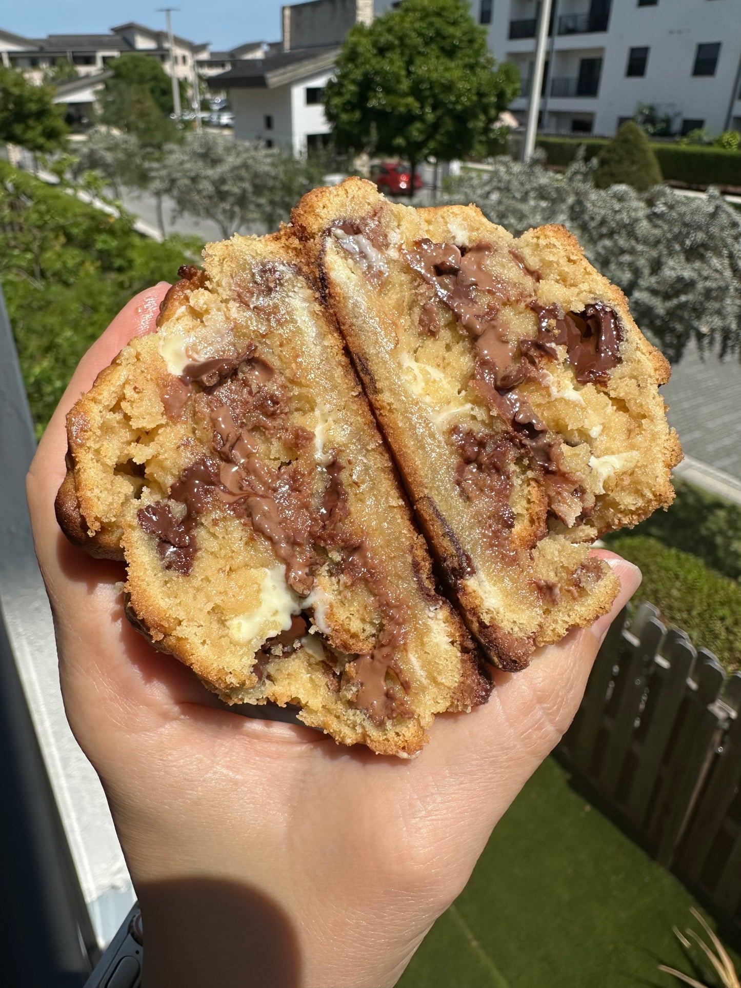 Chocolate Chip