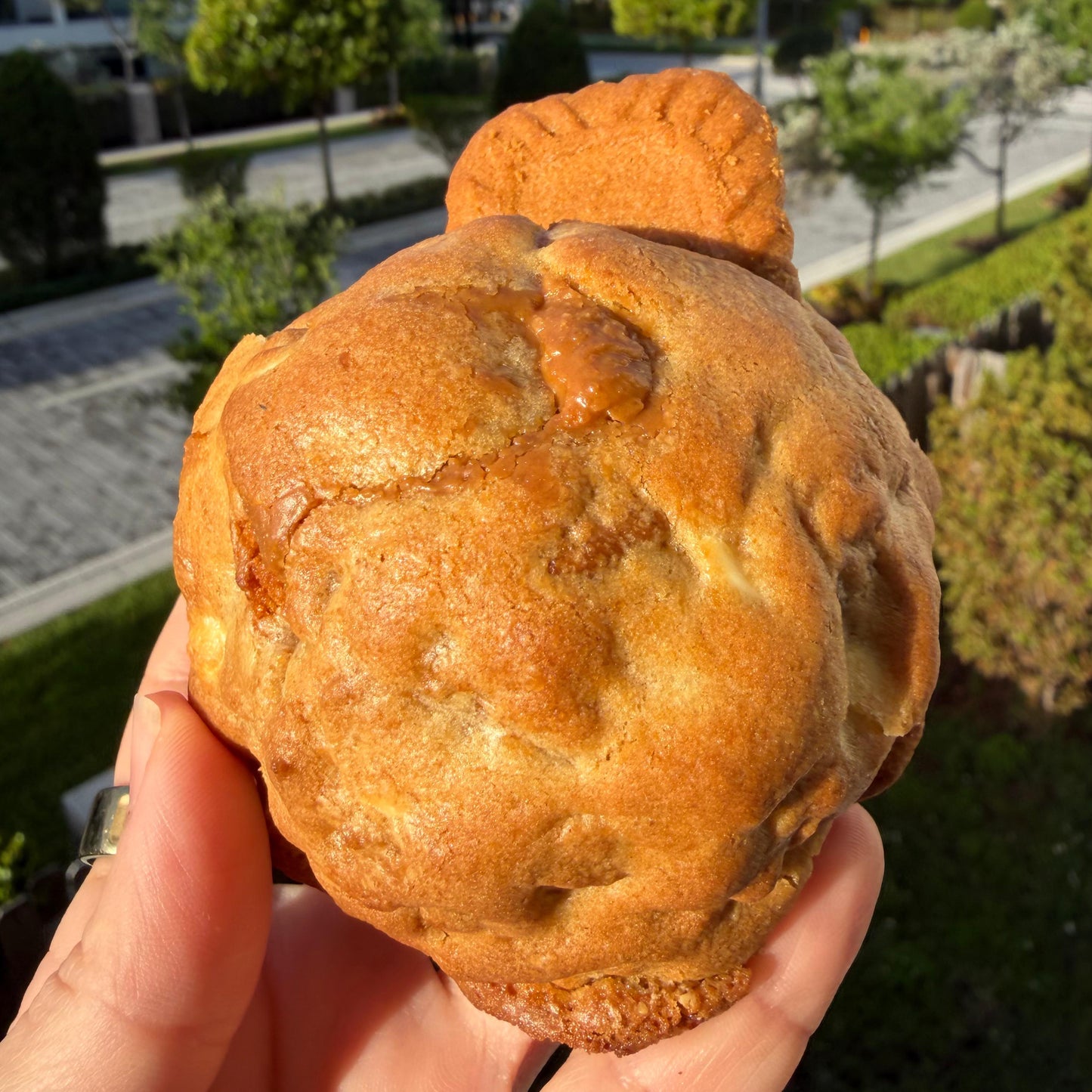 Lotus Cookie 2