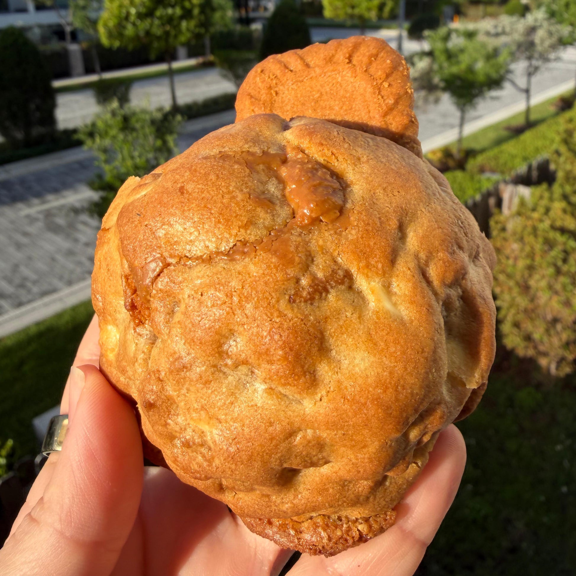 Lotus Cookie 2