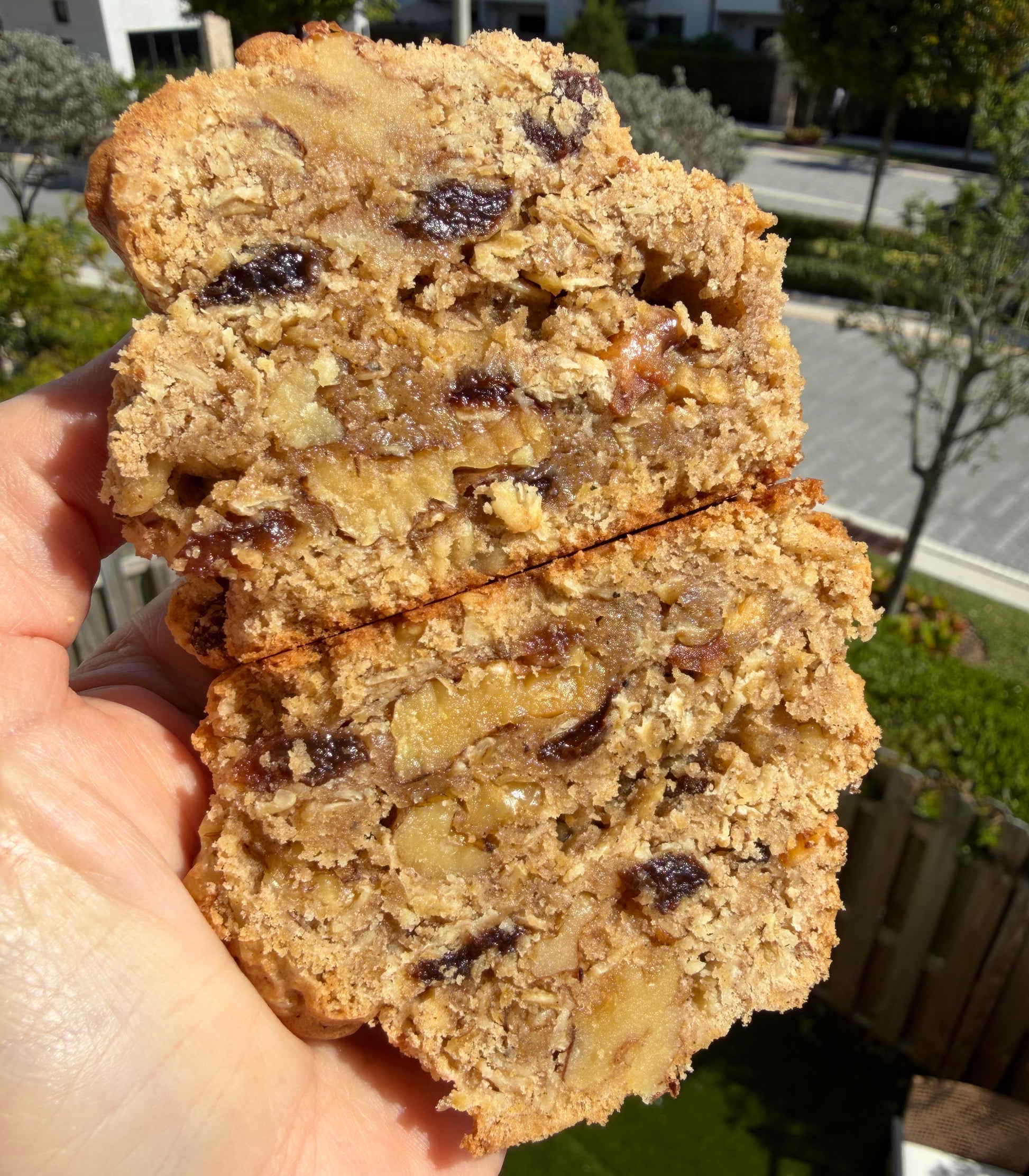 Oatmeal
